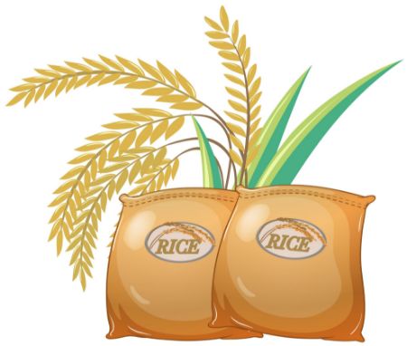 صورة لقسم مخزن الطعام