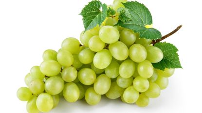 صورة عنب أخضر